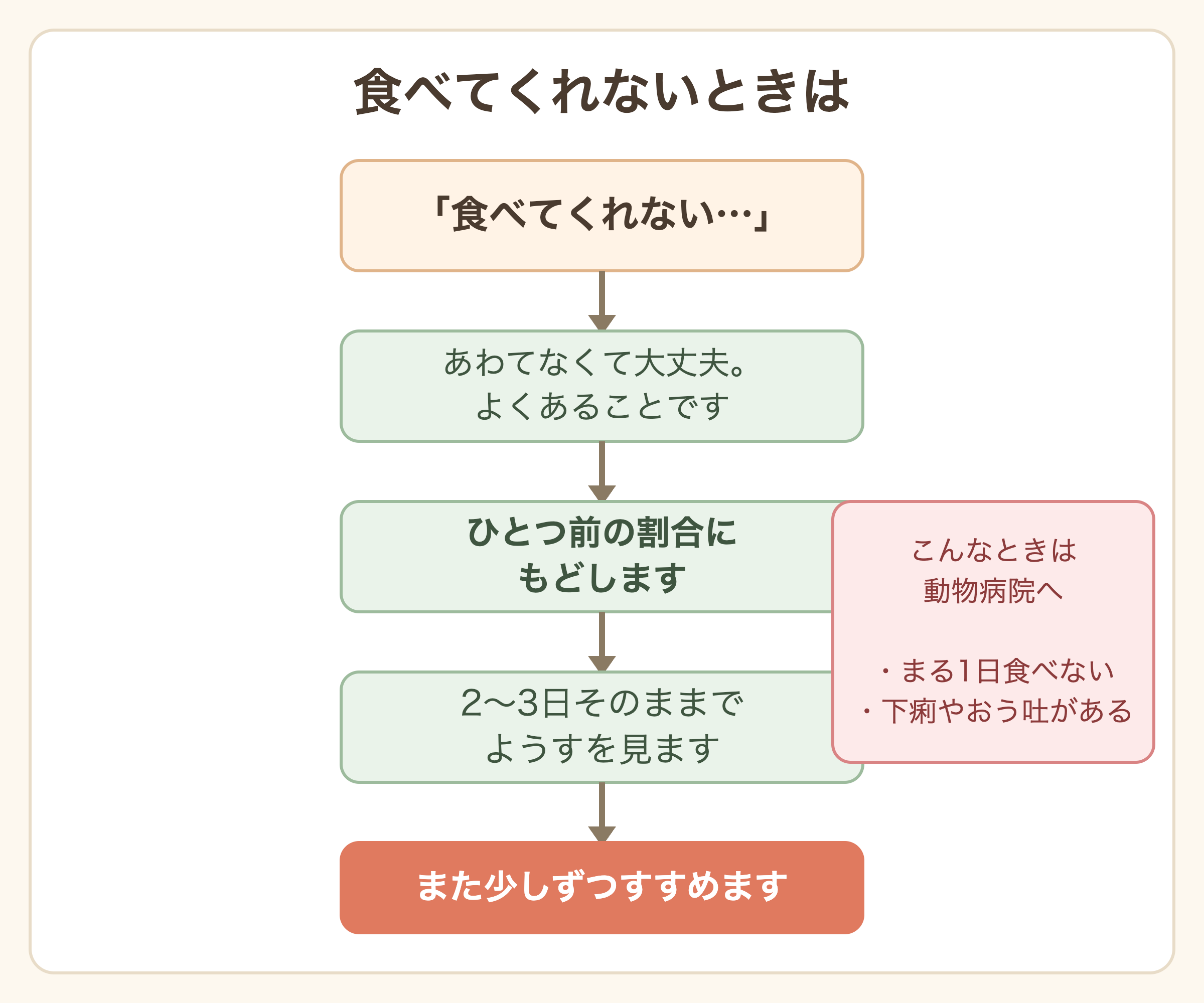 食べてくれないときの対処フロー図。ひとつ前の割合に戻し、2〜3日ようすを見て、また少しずつ進める。まる1日食べない、下痢や嘔吐があるときは動物病院へ